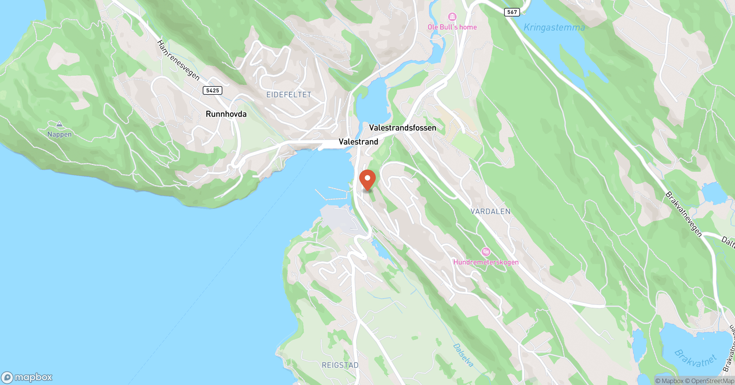 BYGGMESTER VIGLEIK VESETH – hero
