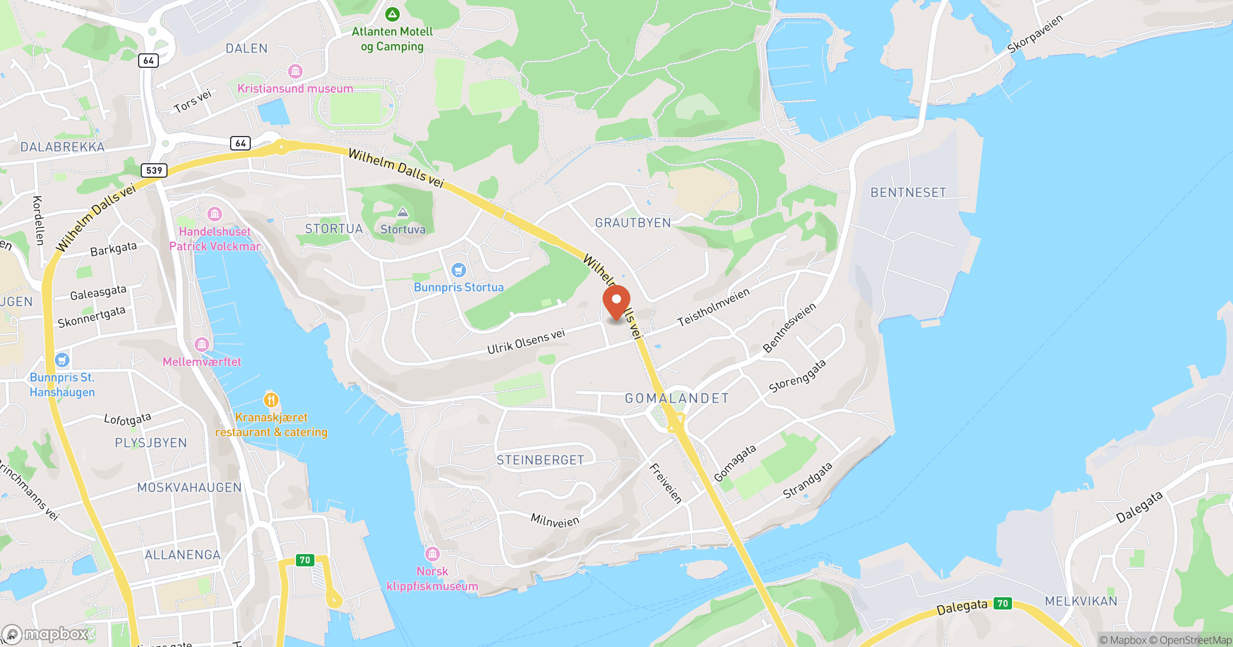 TOMAS BRUSETH – hero