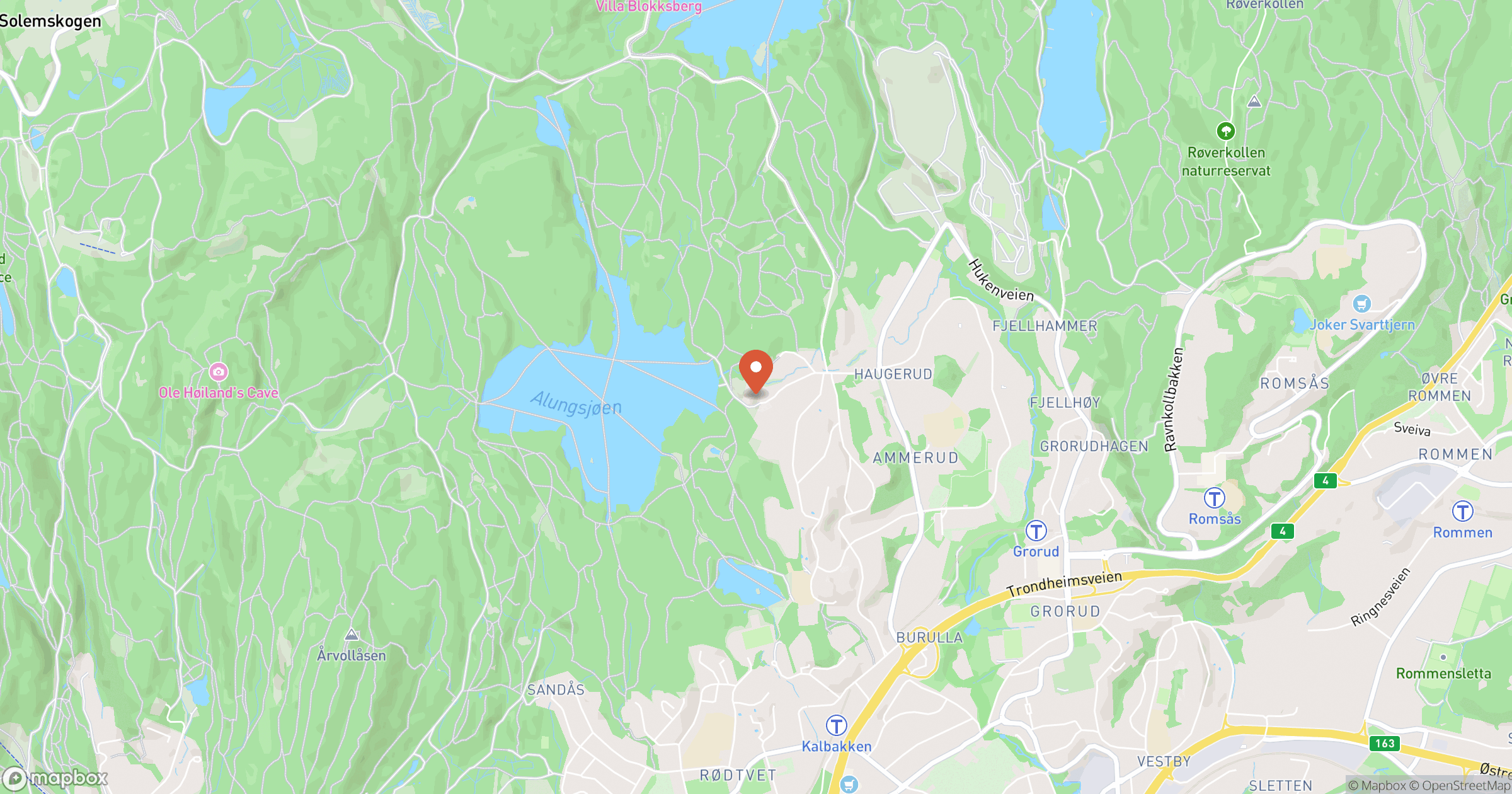 ALSSAYR HÅNDTVERKSTJENESTER – hero