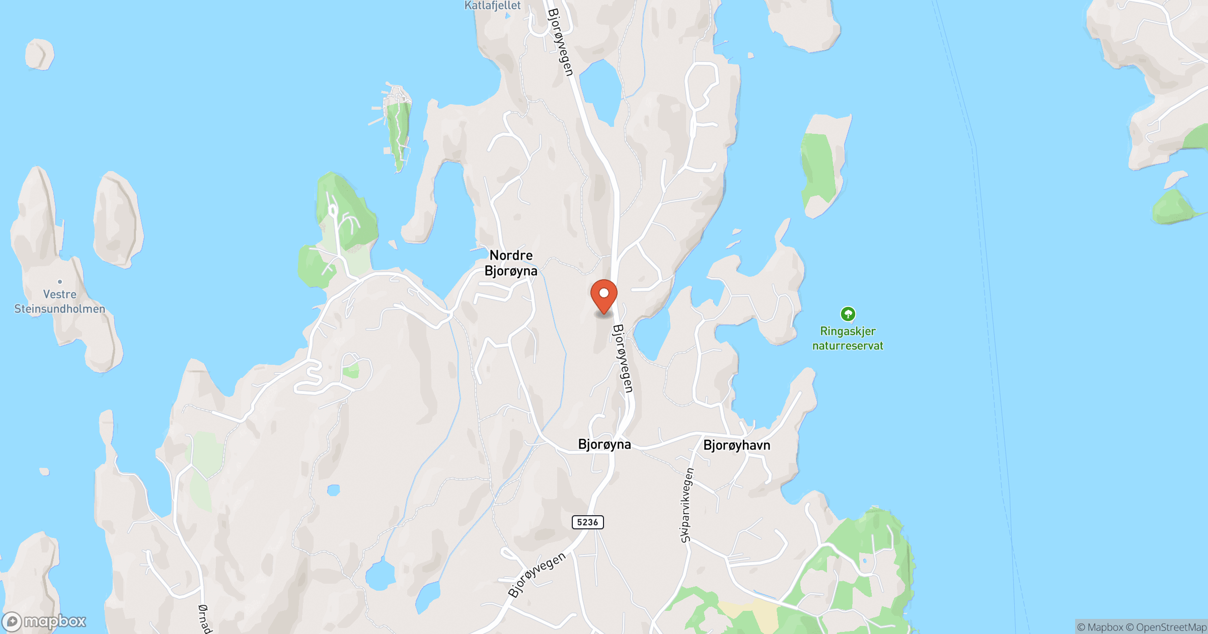 BESTE BLIKK HADZIC – snekker