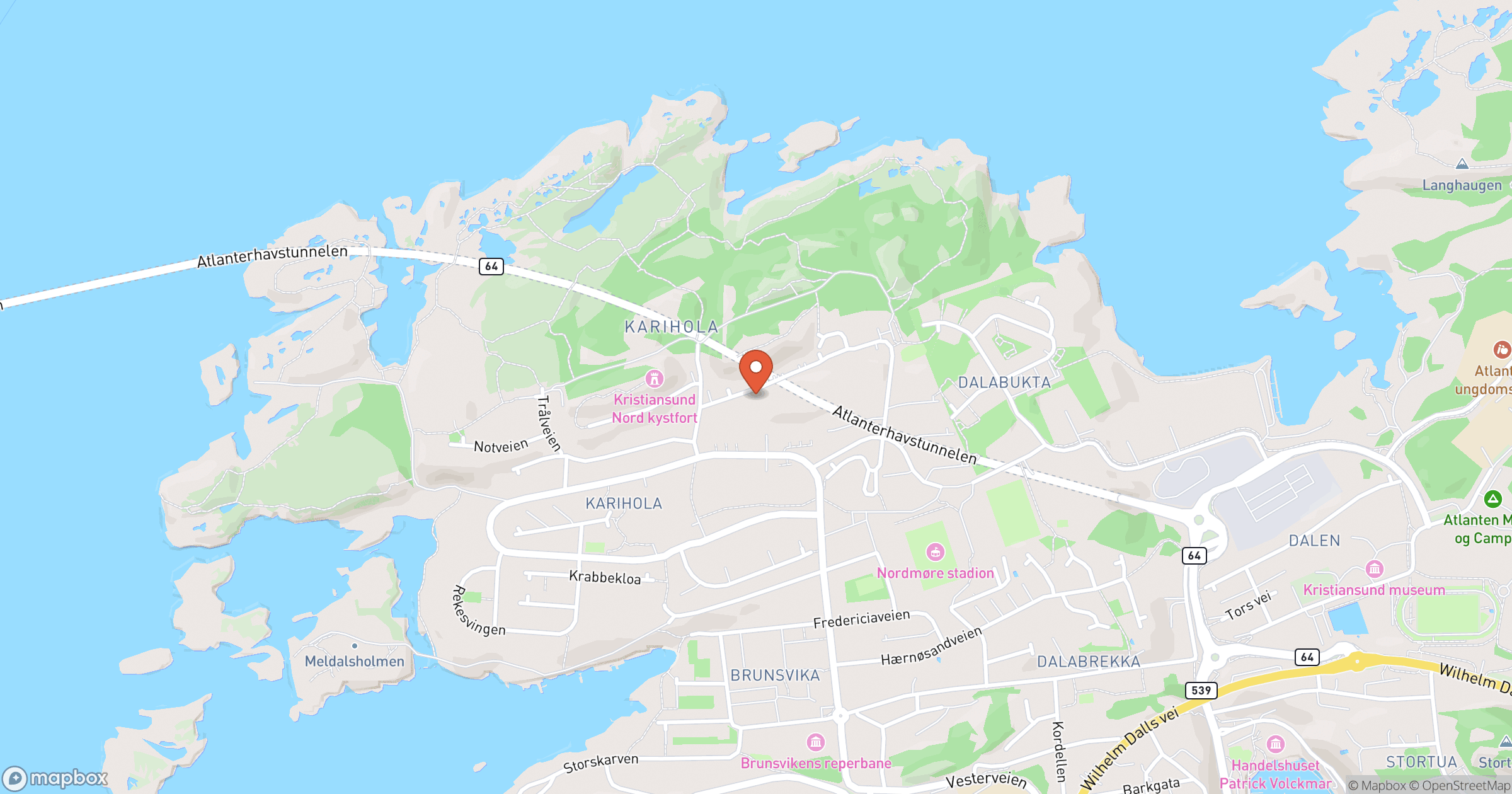HARALD RØNNING – hero