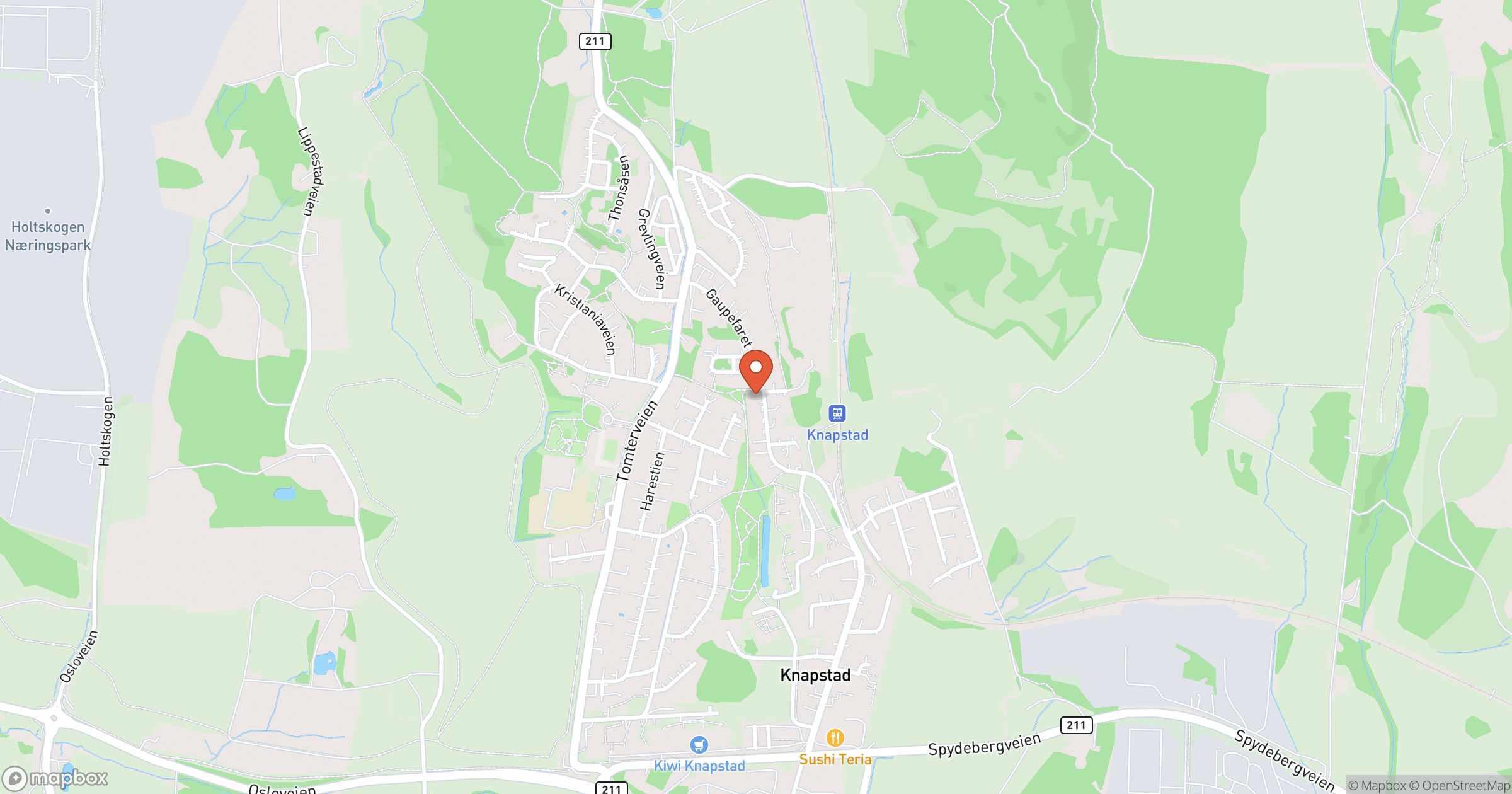 SNEKKER KARINEN – hero