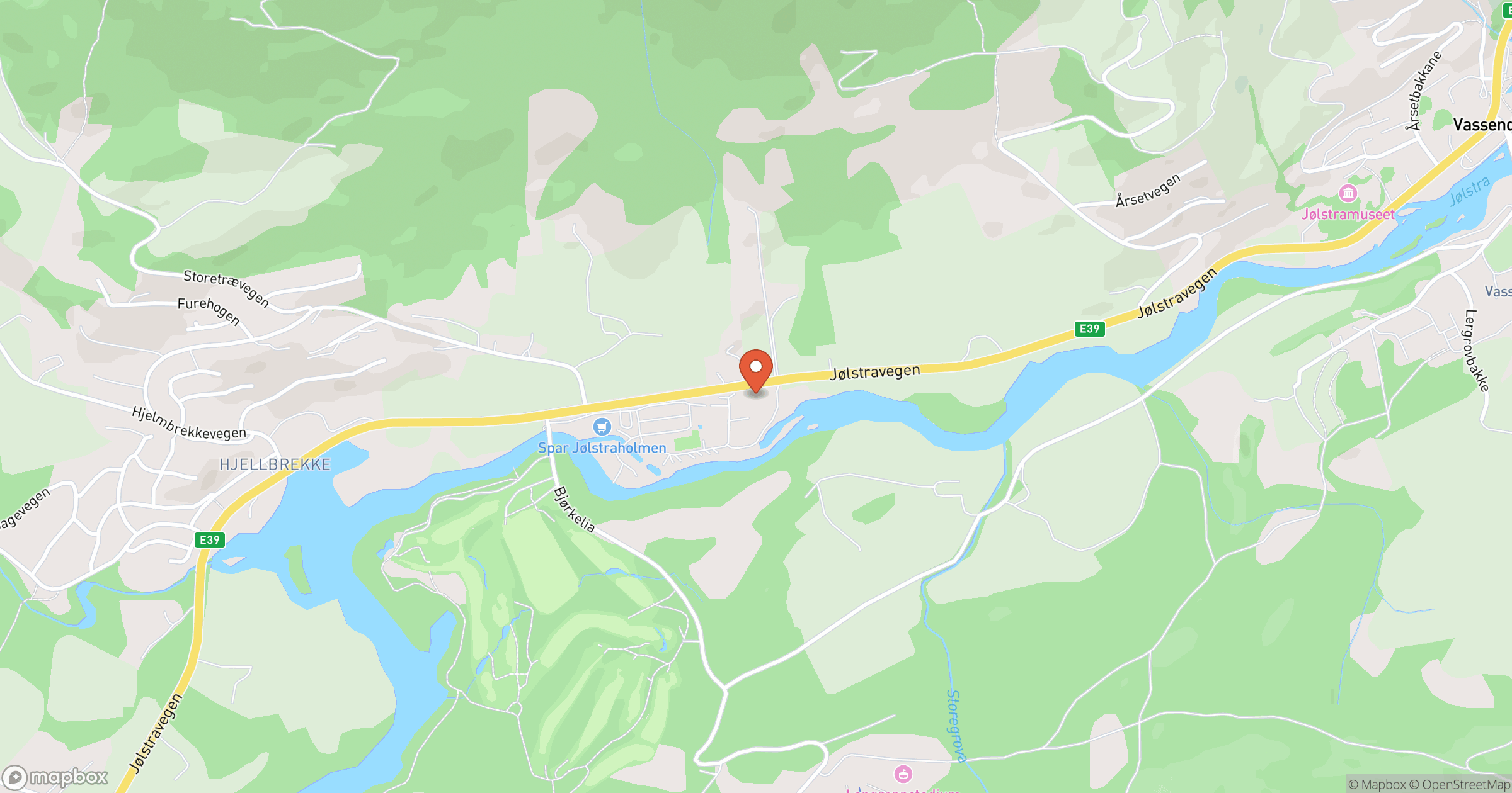 TOR EGIL GJELSVIK – hero