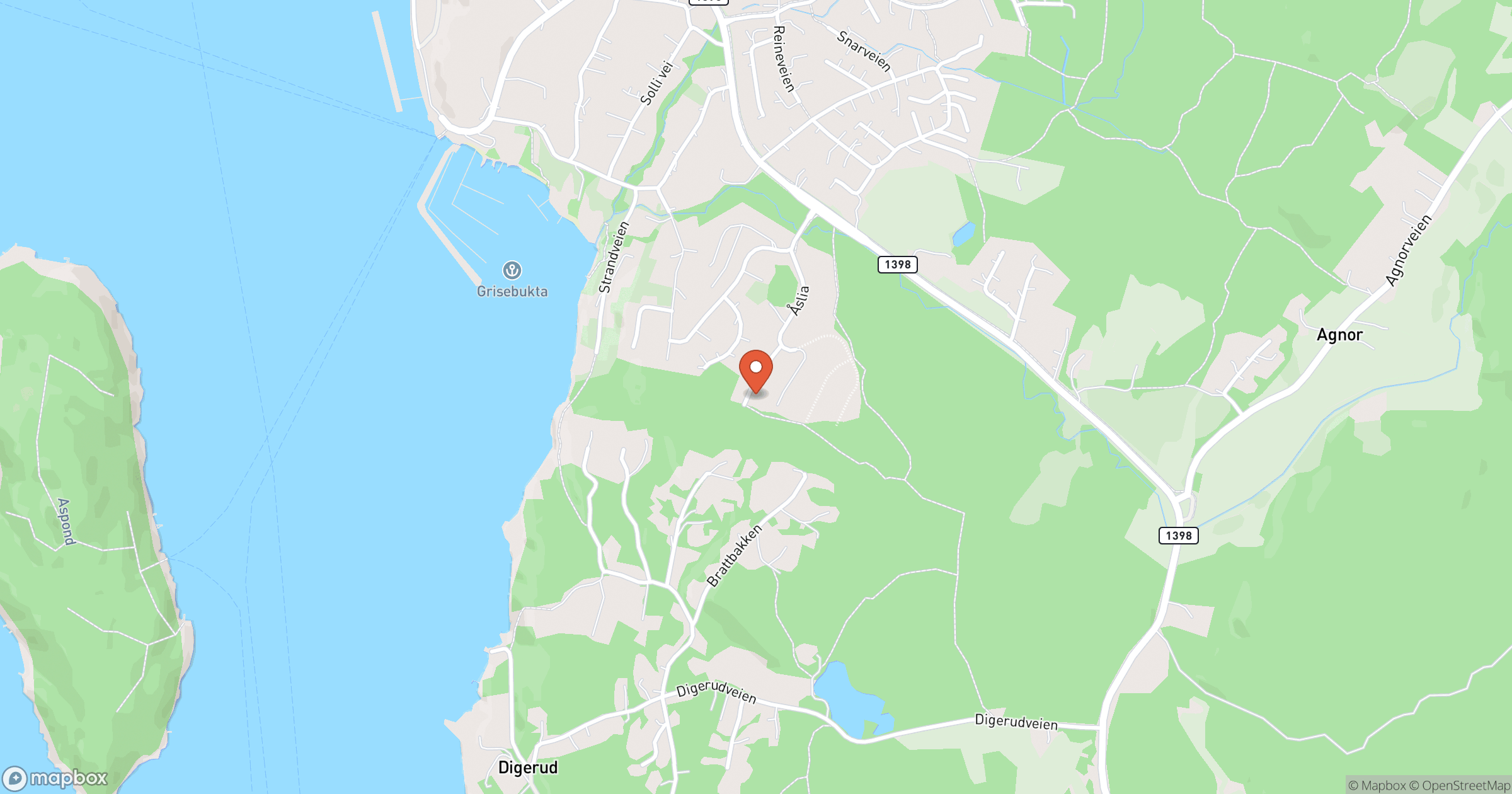 TOR HAUGE HAGESERVICE – snekker