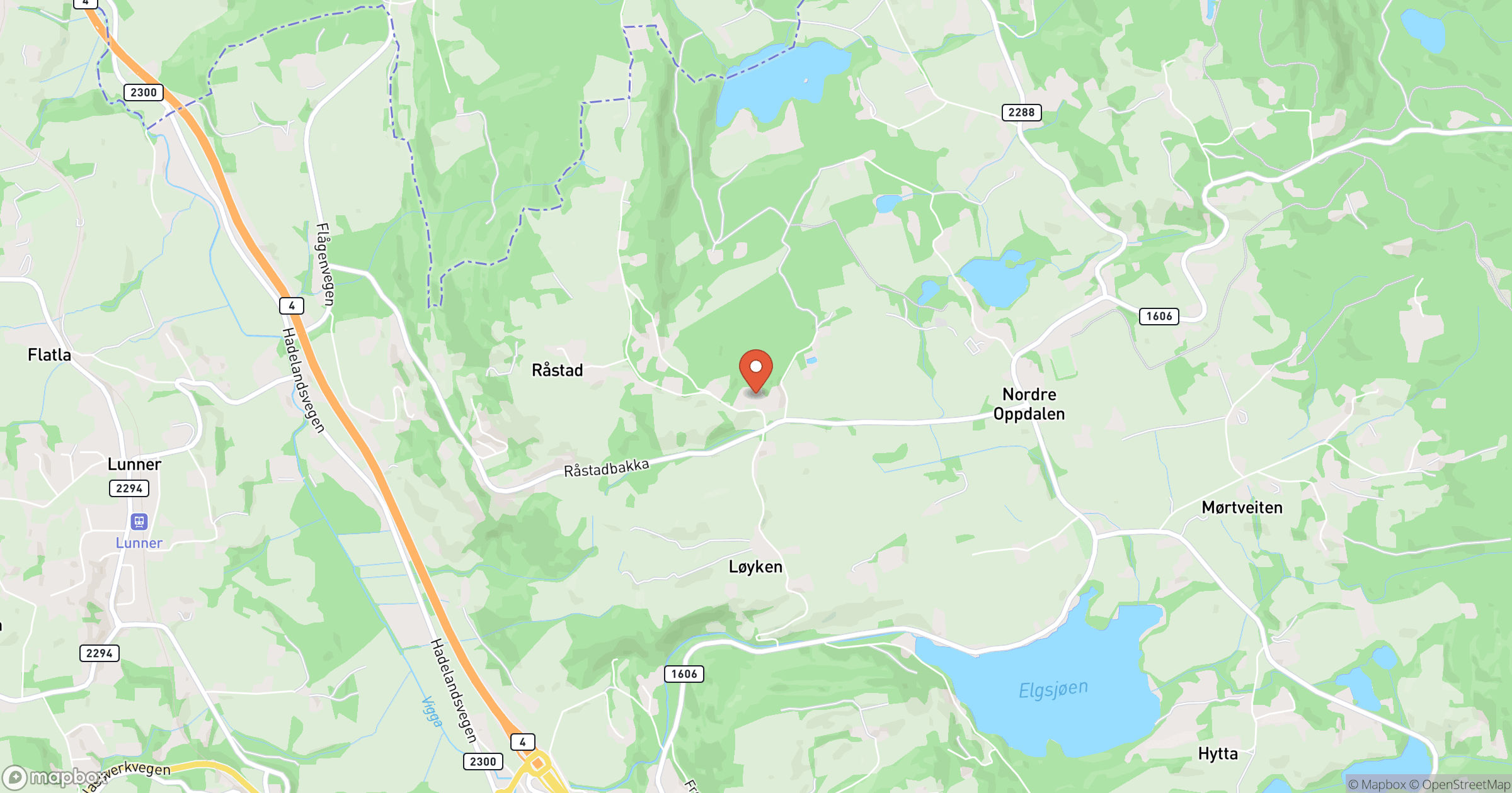 TORGEIR BENONI – hero