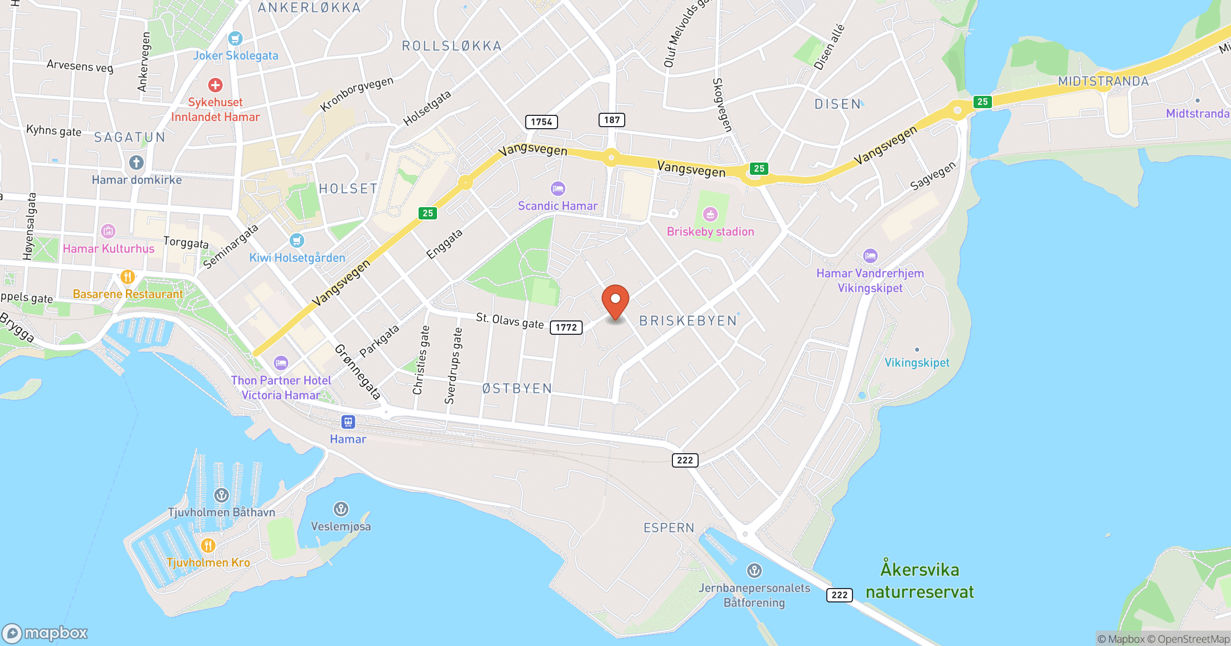 HAMAR BOLIGBYGG AS – hero