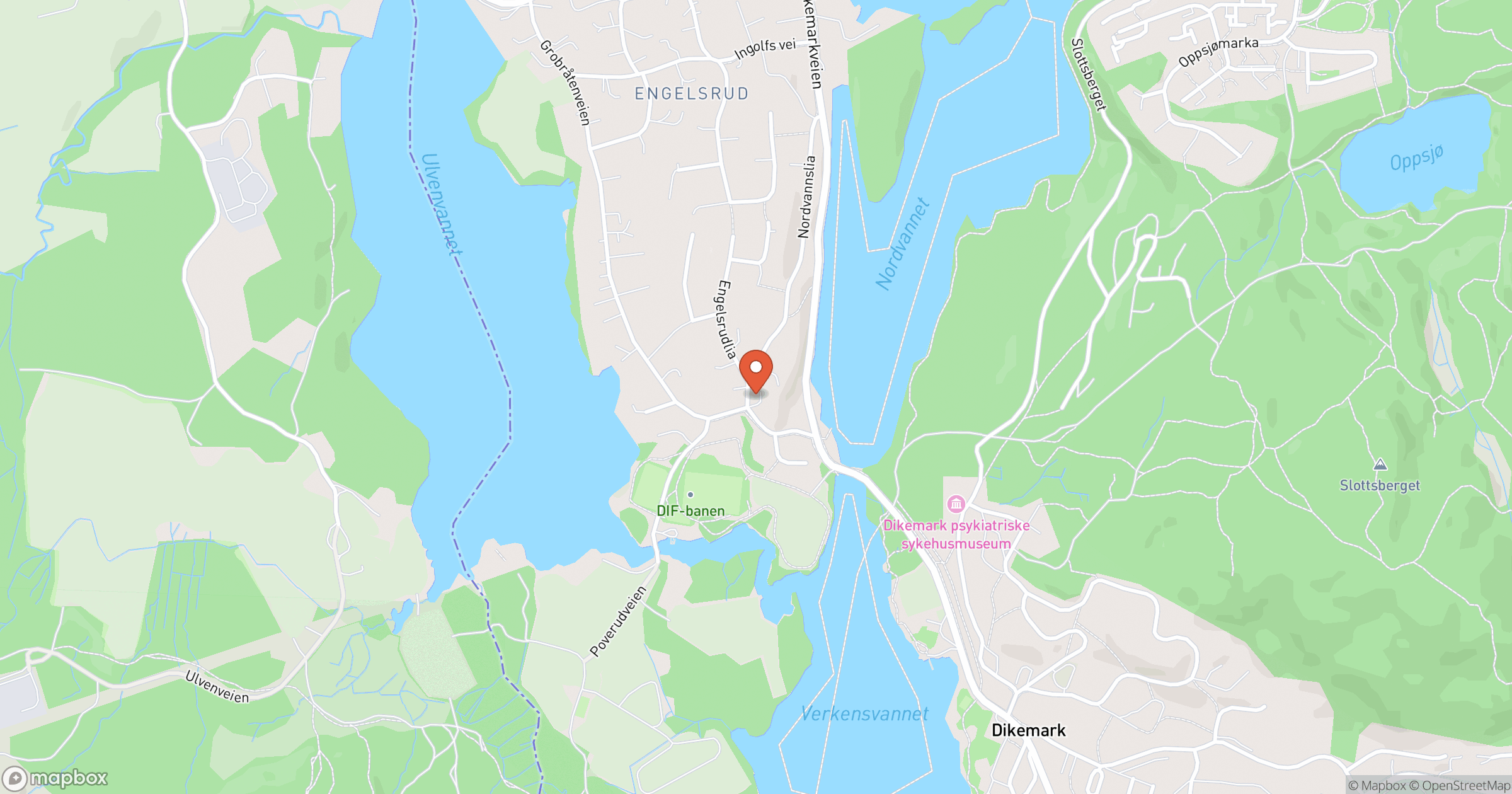 SV.SNEKKER OG MALER HOKKSUND VYTAUTAS STANKUS – hero