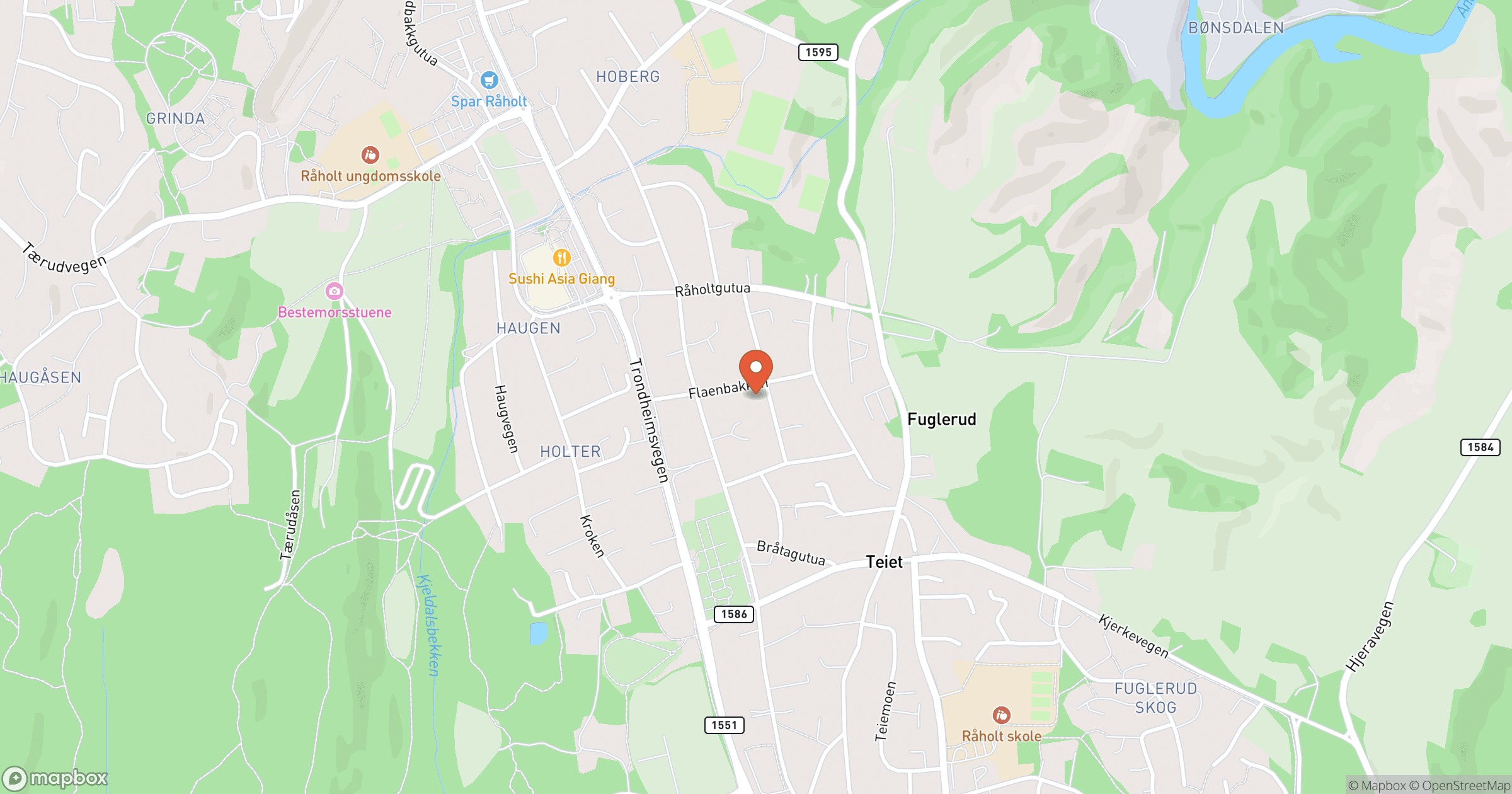 REGI MØBLER MONTASJE REGIMANTAS BUREVICIUS – snekker