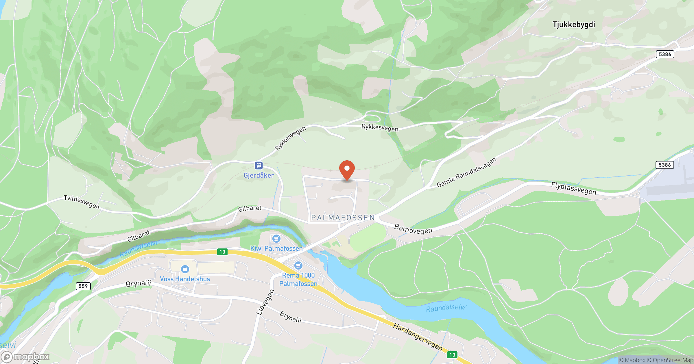 TARJEI ØSTREM DJUKASTEIN – hero
