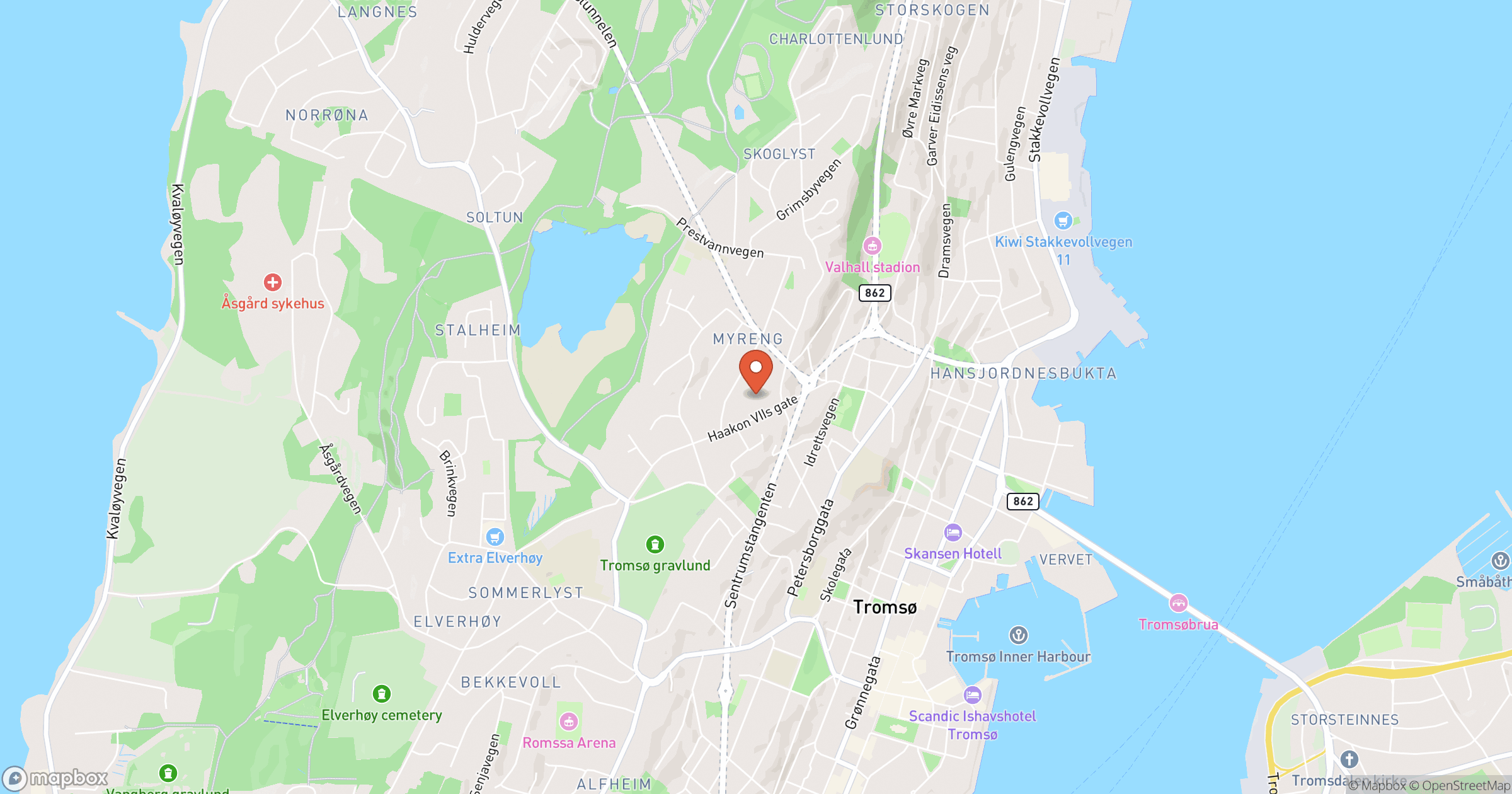 FLIS I FINGEREN THOR FALKANGER – hero