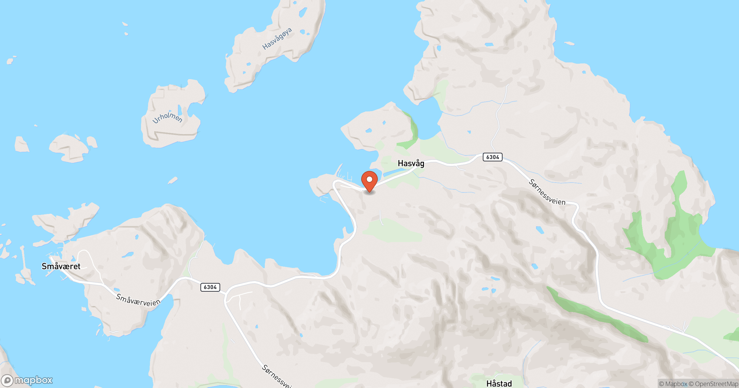 ÅGE ARVID HASVÅG – hero
