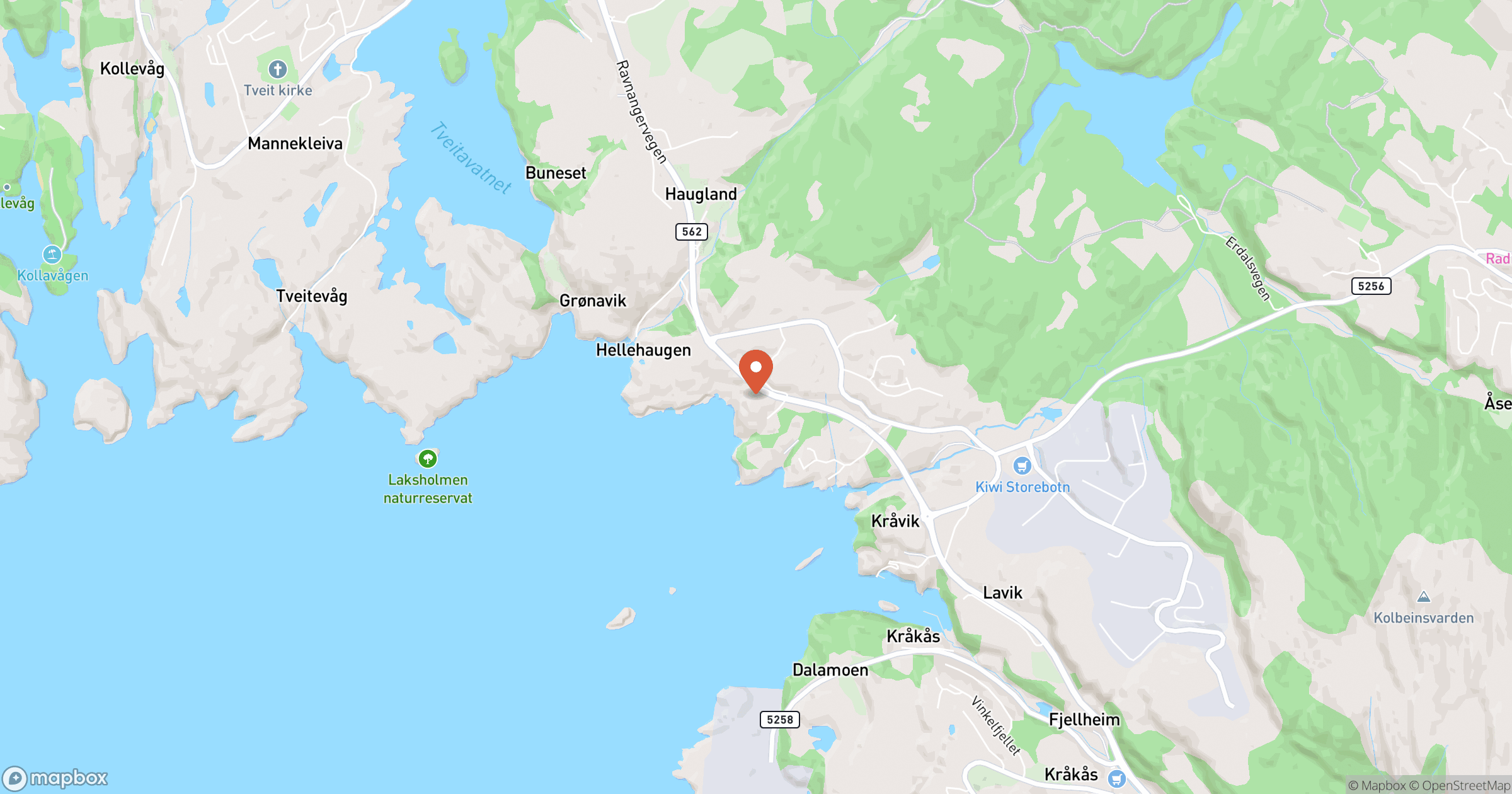 BYGGFOKUS KVALITET LUMINITA-VETA STOICAN – hero