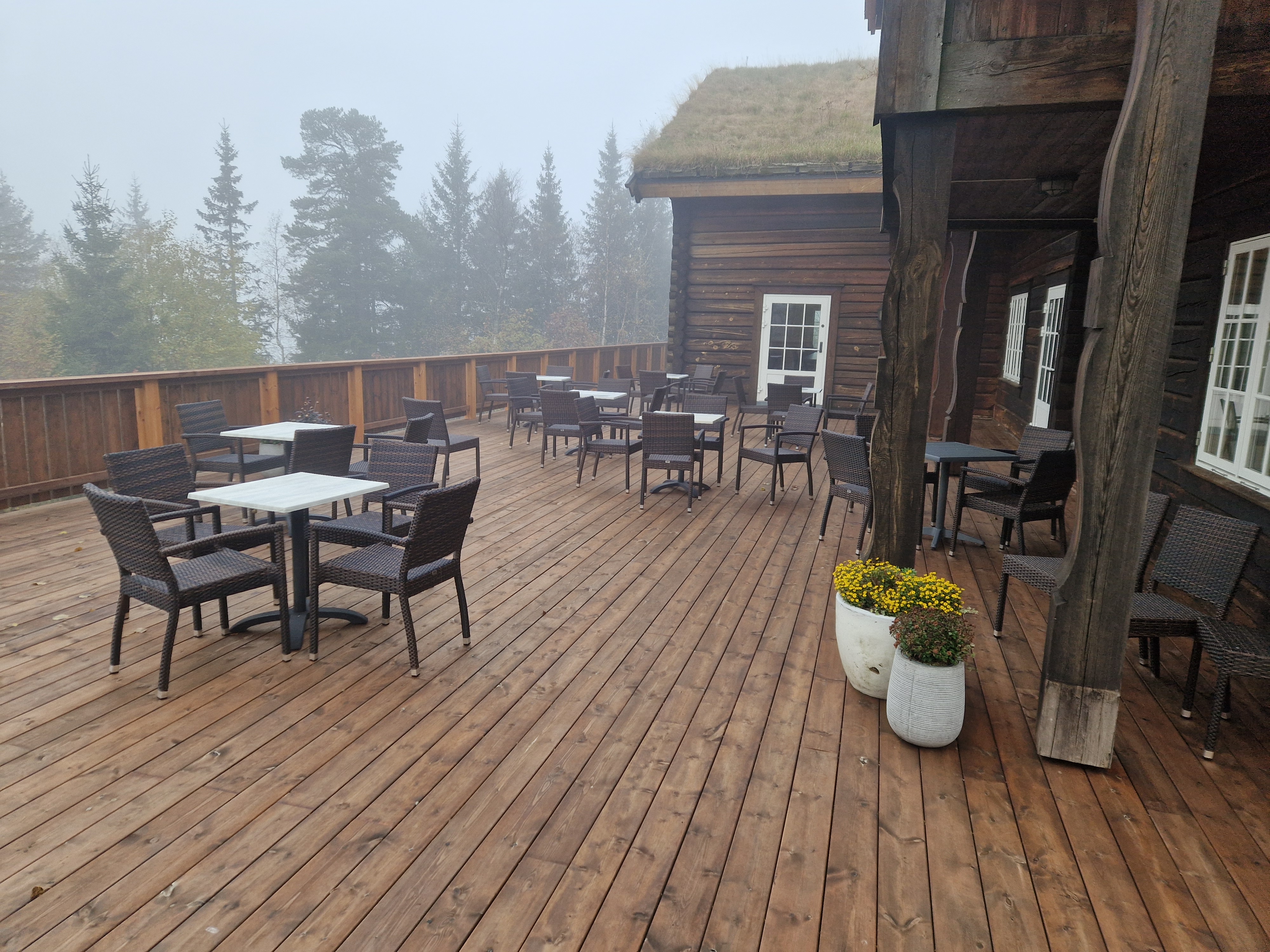Terrasse 2025